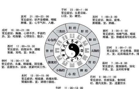 子午卯酉四正|子午卯酉 具体是什么意思？